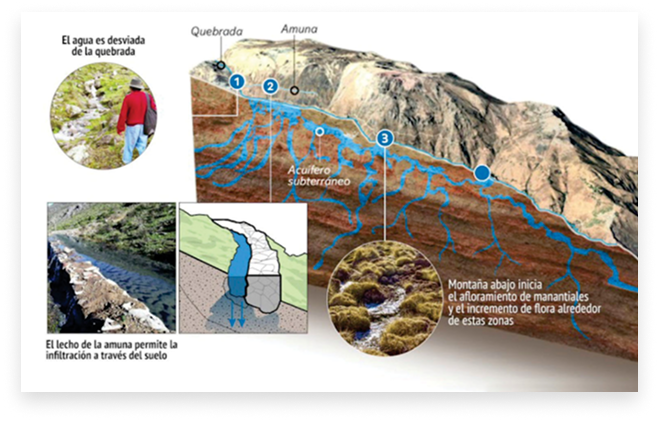 Esquema de funcionamiento de una Amuna