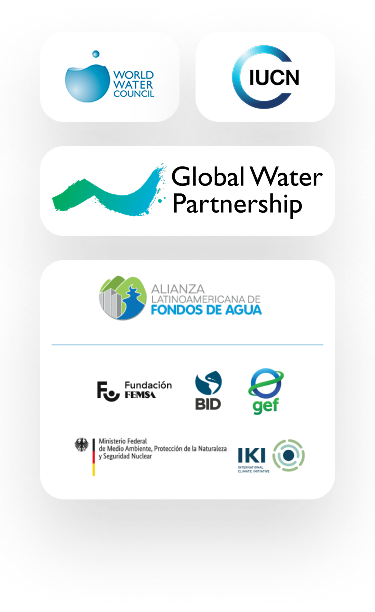 Redes y aliados internacionales