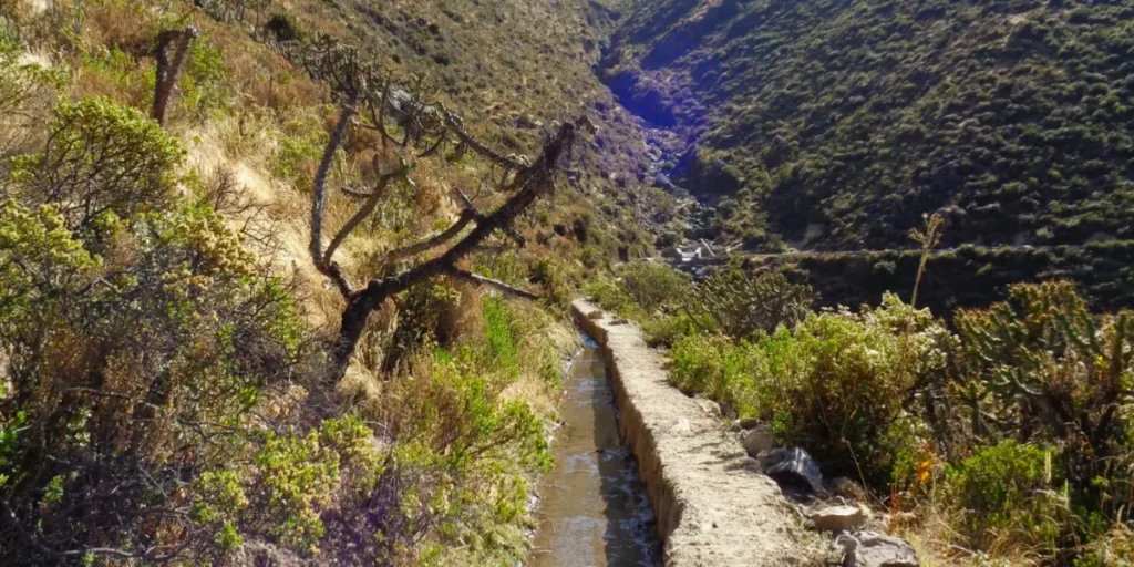 El sistema ancestral de canales que combate el cambio climático en Perú (Swiss Info)
