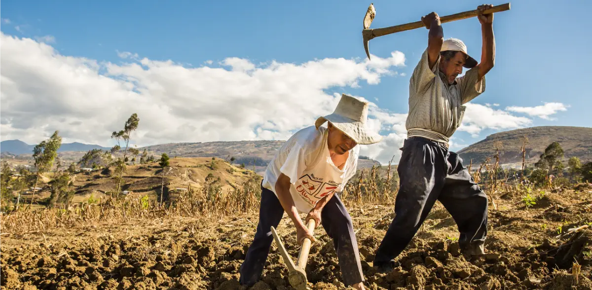 Los Objetivos de Desarrollo Sostenible y el desafío de la conservación del suelo y el agua