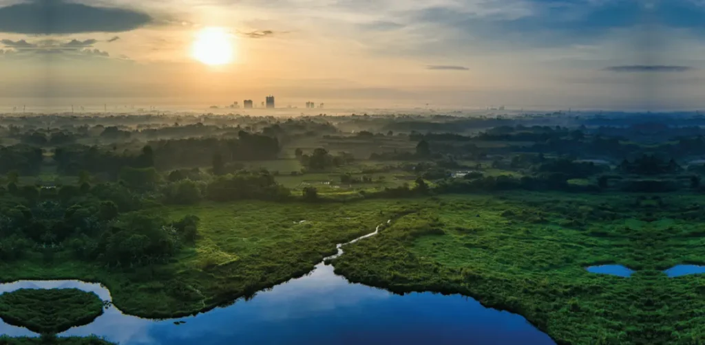 Cumplimiento del ODS 6