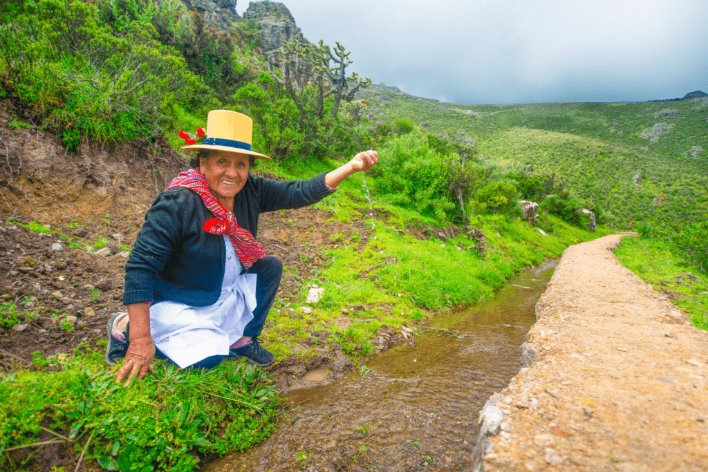 Maintenance of 9 km of rehabilitated amunas rehabilitated by Coca-Cola