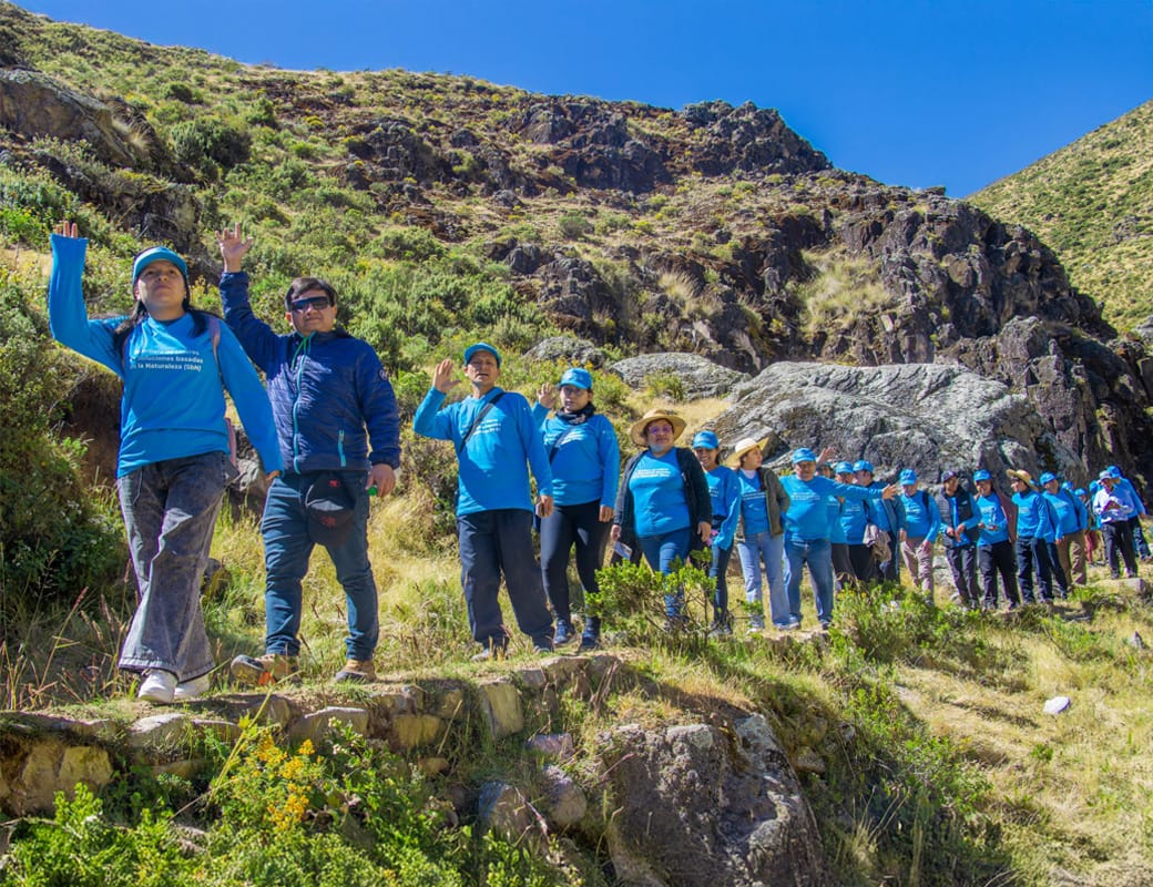 Board and Advisory Bodies