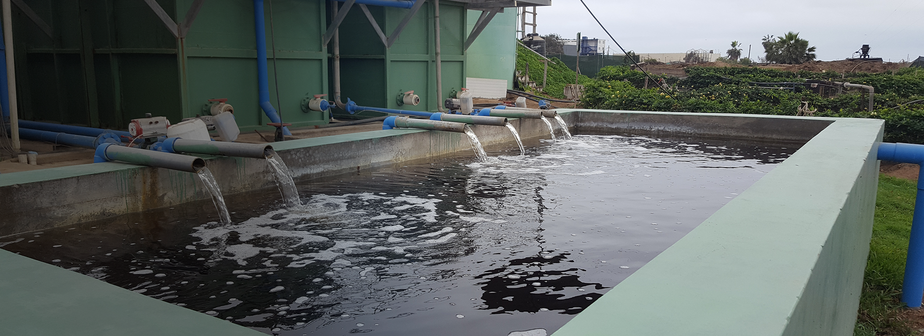 Reuse of treated water