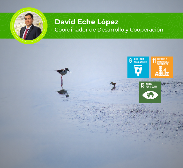 Lima’s wetlands at risk: a call to action