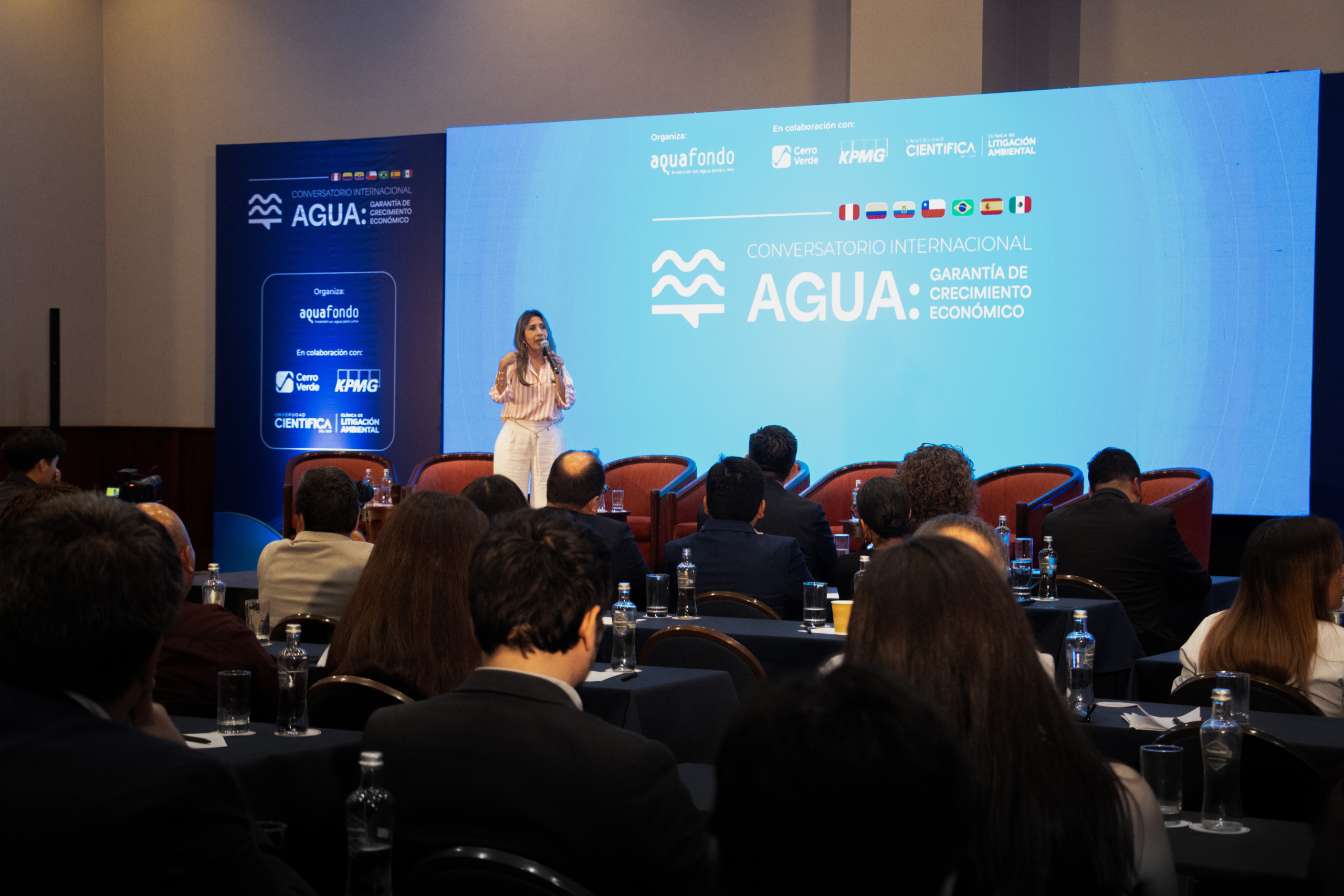 Water and economic growth: private companies, the State, and international cooperation position water management as a strategic decision