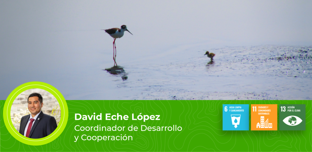 Lima’s wetlands at risk: a call to action