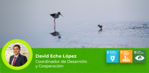 Lima’s wetlands at risk: a call to action